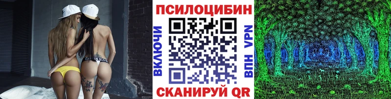Галлюциногенные грибы Psilocybine cubensis сколько стоит Ветлуга